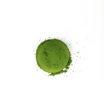 Ceremonial Grade Uji Matcha Scoop of Matcha on plain background