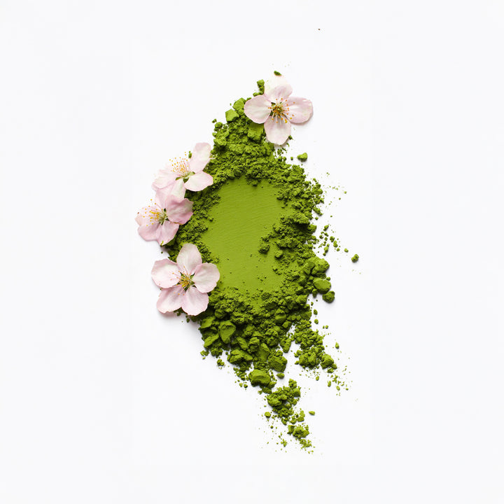 Swatch of vibrant green Sakura Matcha powder with pink cherry blossom flowers on white background
